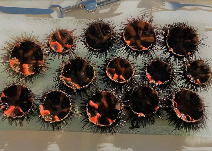 Apartman Le Bellavista T2 Emplacement *