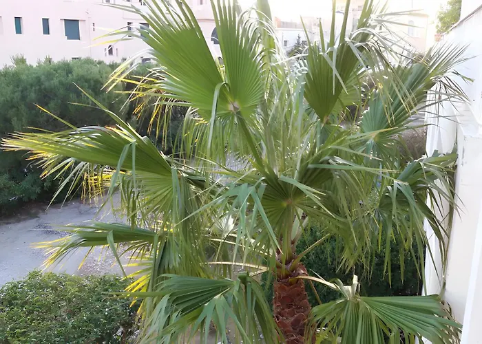 Le Bellavista T2 Emplacement Cassis